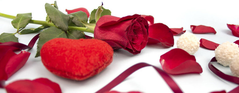 情人节概念情人节红玫瑰与白色背景上的花瓣情人节卡片图片