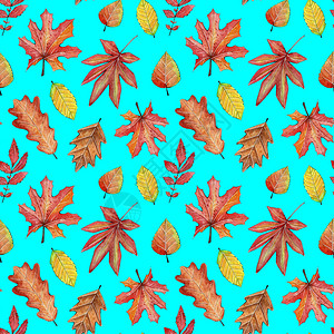 无缝水彩秋天图案秋天的落叶图片