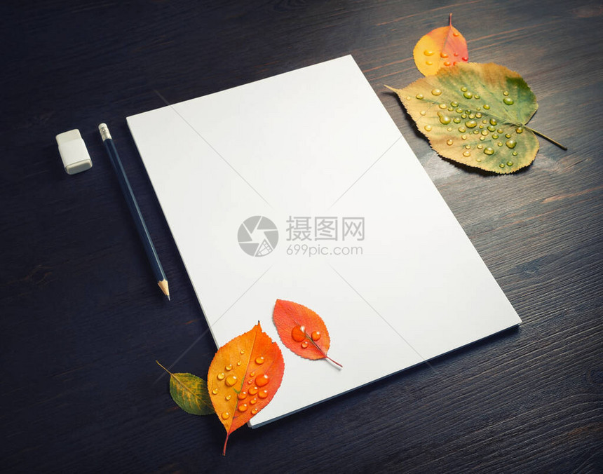 信头铅笔抹布和木本上明亮的秋叶照片图片