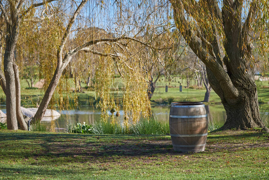 一个法国老橡树酒桶坐在湖边草原图片