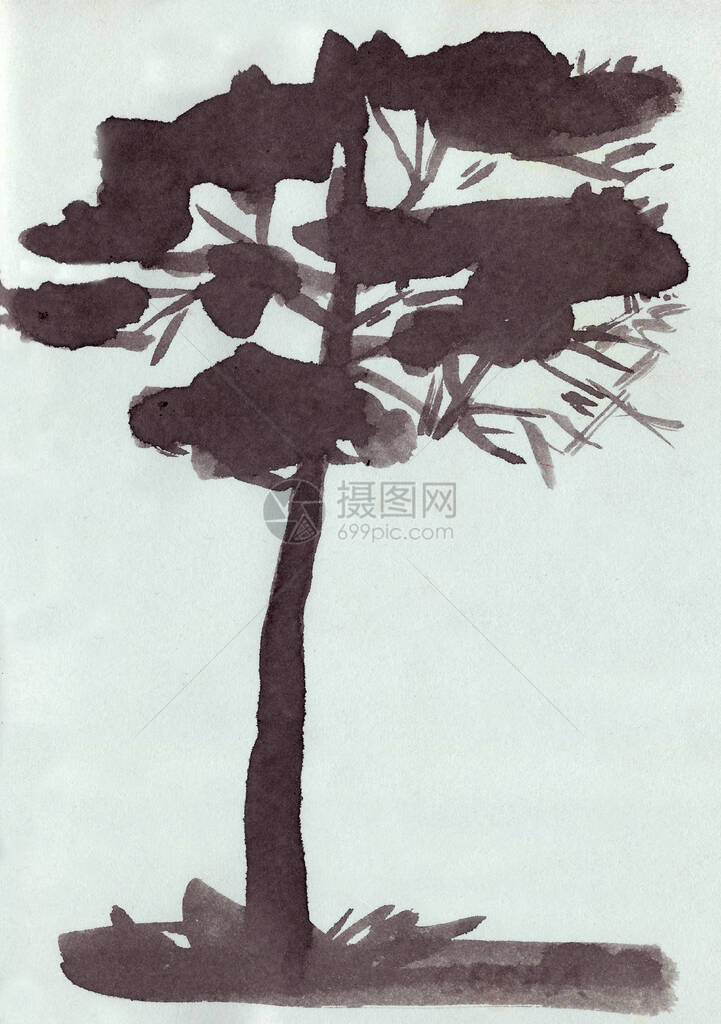 光背景图形单色墨油图案上的松树环影图片