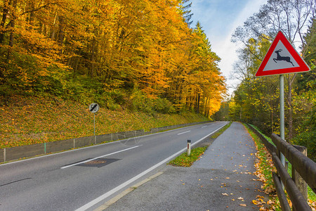 奥地利施蒂里亚地区格拉茨附近美丽的秋天地貌的街道标志图片