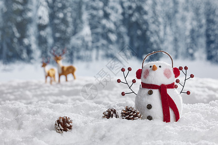 冬季圣诞雪景静物可爱雪人图片