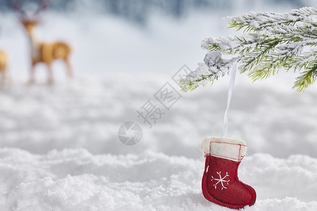 冬日雪地背景静物背景图片