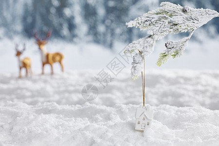 雪地背景冬日静物图片