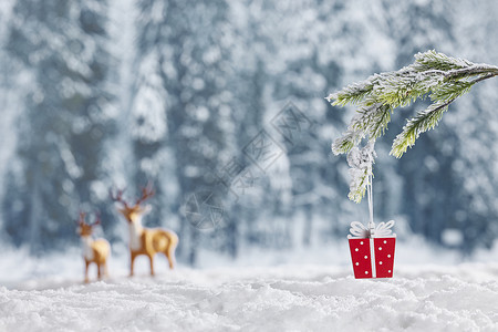 雪地背景圣诞礼物装饰图片