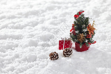 圣诞抽奖券雪景静物圣诞树背景