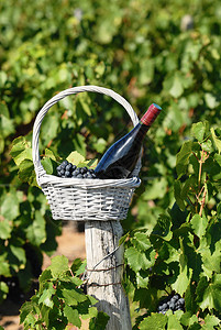 篮子里的一瓶红酒和葡萄图片