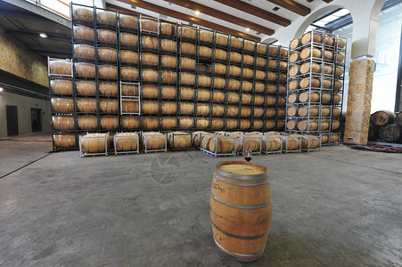 葡萄园酒窖中的酒桶图片
