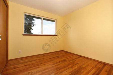 明亮的黄色小墙空房间有硬图片