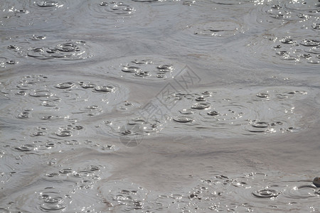 黄石公园的泥火山中的泥浆图片