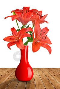 白色背景的红色花瓶中图片