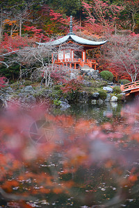 京都醍醐寺的日本建筑与秋景图片