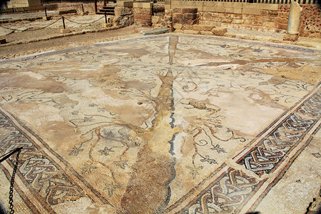 希律王凯撒利亚海里蒂马公园的马赛克瓷砖地板遗址背景