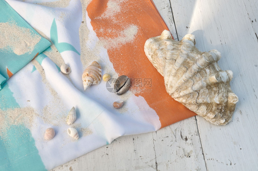 白色木板上海滩毛巾上的巨型蛤图片
