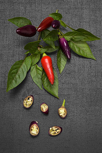红辣椒和紫辣椒图片