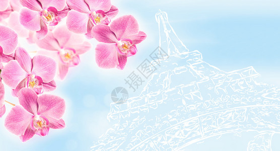粉红兰花以埃菲尔铁塔的立体图像为标背景图片
