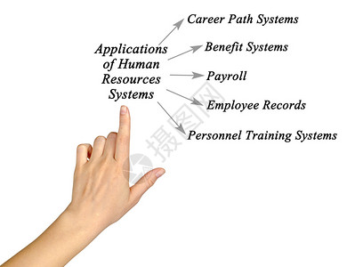 人力资源系统应用软件图片