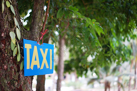 附在树上的出租车牌图片