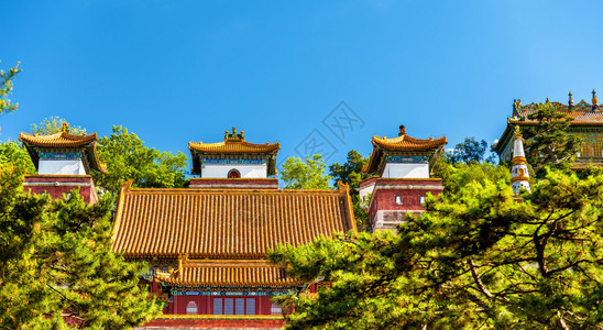 北京夏季宫四大区寺图片