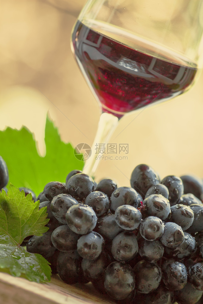 红酒在玻璃和新鲜葡萄中粉红色图像有图片