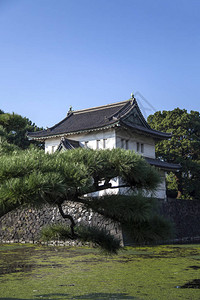 日本东京皇宫警卫塔日背景图片