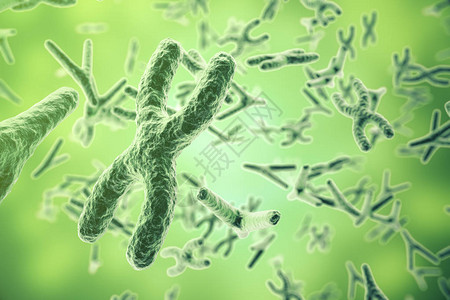 关于科学背景的染色体生命和生物学医学科背景图片