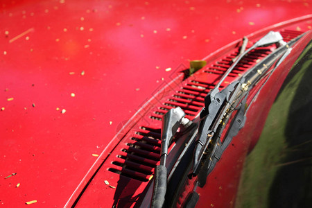 红色汽车上的雨刷图片