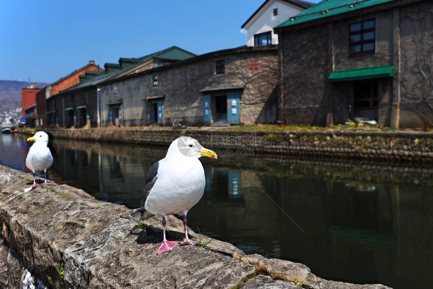 日本北海道奥塔鲁运河图片