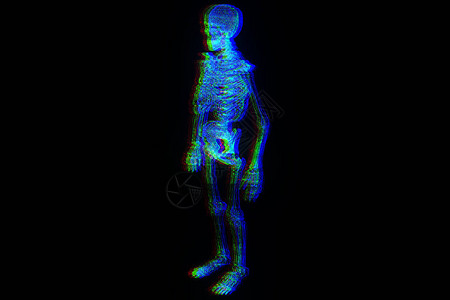 人类骨骼无线框架整体图在运动中漂亮的背景图片