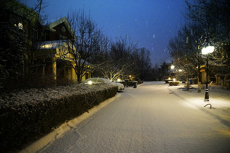 冬天夜晚房子别墅区雪景背景