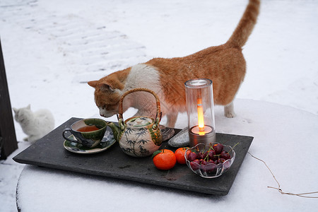 茶具花园雪景高清图片