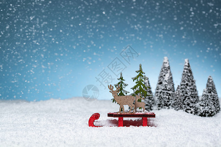 雪中的松树和麋鹿图片