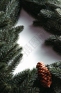 松针组成的圣诞树图片