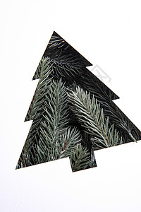 松针圣诞树背景图片