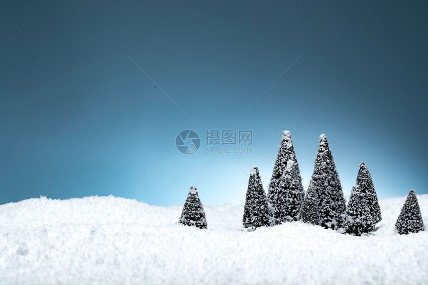 雪地上的松树图片