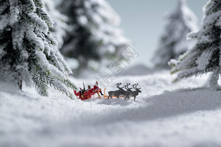 圣诞树林雪地上驯鹿拉着圣诞老人背景