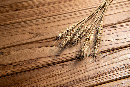 麦子熟了麦穗背景