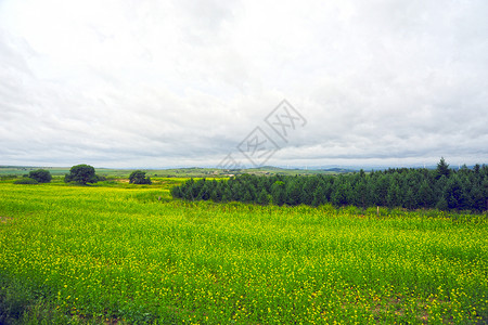 河北省承德坝上草原风光背景