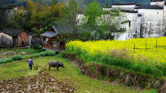 耕地人江西省婺源县思溪村风光背景