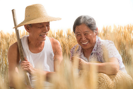 农民夫妇在播种老年夫妇在麦田背景