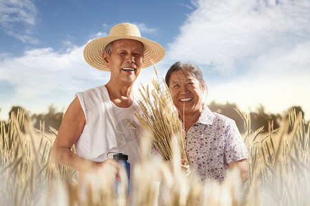 农民夫妇在播种老年夫妇在麦田背景