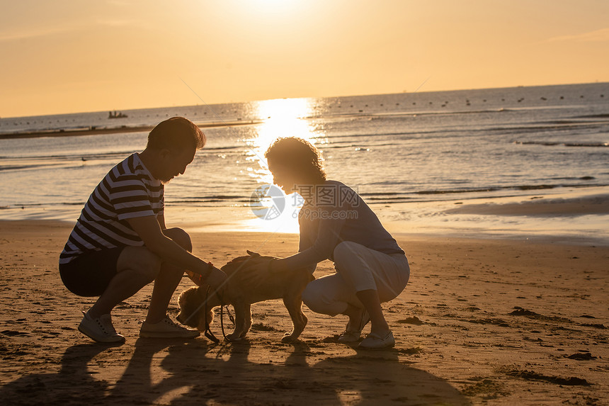 老年夫妇带着宠物狗在海边散步图片