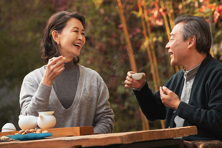 茶之爱素材快乐的老年夫妇在庭院内品茶背景