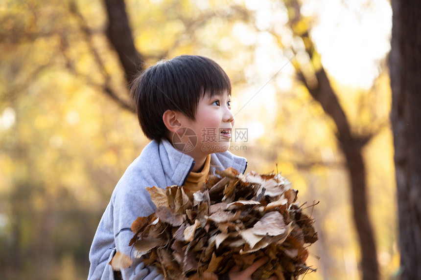 秋天户外男孩玩树叶图片