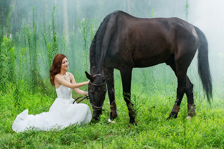 草地上穿着婚纱的青年女人和马高清图片