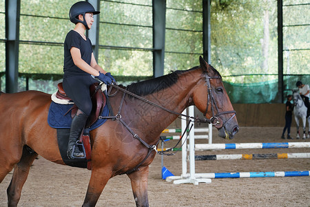 酷骑准备骑马跳障碍栏的年轻女子背景