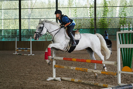 白和动态素材骑马跳障碍栏的帅气青少年女孩背景