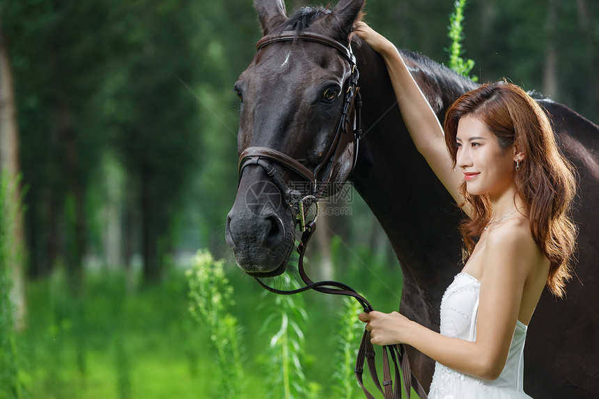 树林里漂亮的青年女人牵着马图片