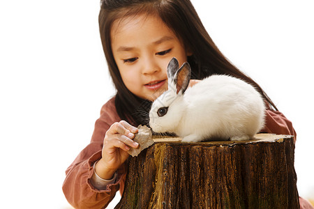 可爱萝莉小女孩和小兔子背景